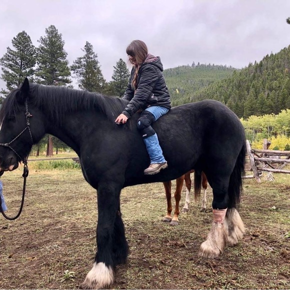 Meet your Posher, Dani - Picture 2 of 2